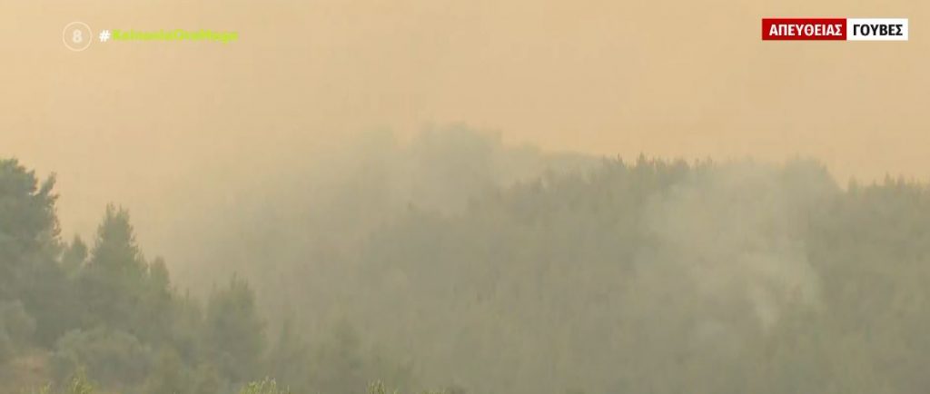 Οι τραγικές επιπτώσεις από τις καταστροφικές πυρκαγιές – «Κλειδί» η πρόληψη