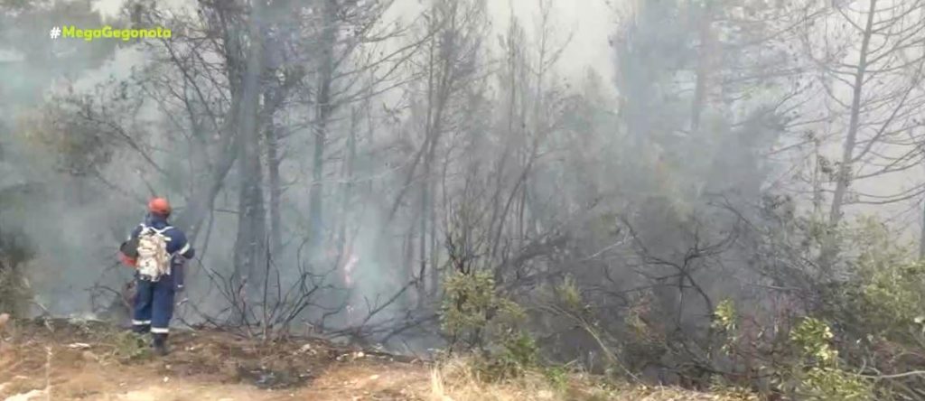 Εισαγγελική παρέμβαση του Αρείου Πάγου για τις φωτιές – Υπόνοιες για οργανωμένη εγκληματική δραστηριότητα