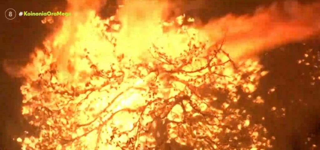 Μαίνεται η πύρινη λαίλαπα στη Γορτυνία – Αναμένεται ενίσχυση των δυνάμεων της πυροσβεστικής