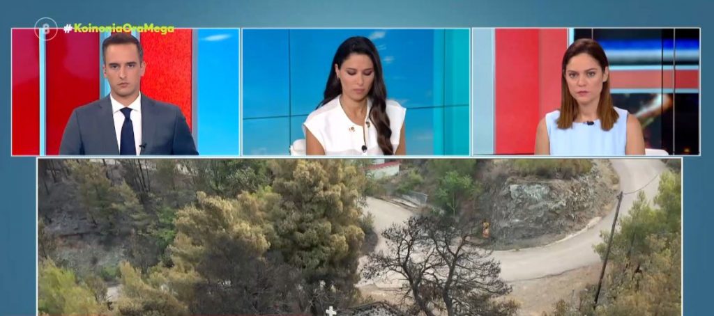 Συνεχείς αναζωπυρώσεις στη Γορτυνία – Σε εξέλιξη πύρινο μέτωπο και στην ανατολική Μάνη