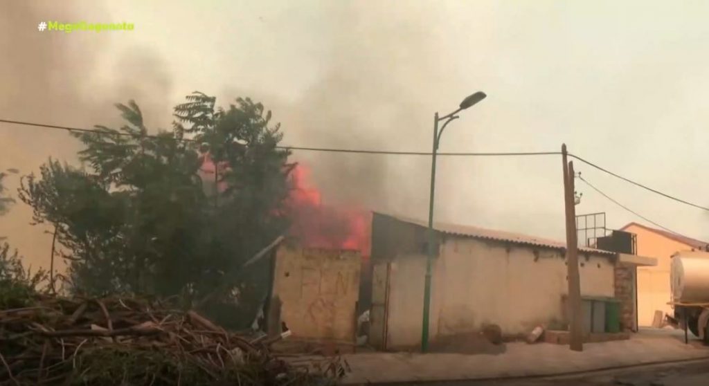 Στο έλεος της κλιματικής αλλαγής ο πλανήτης – Πυρκαγιές στην Αλγερία – Πύρινα μέτωπα & πλημμύρες στην Τουρκία