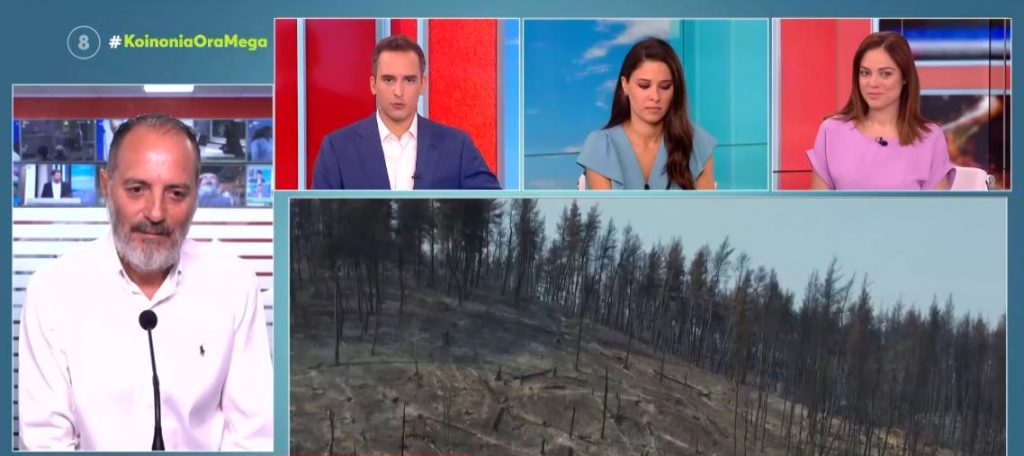 Χωρίς ενεργό μέτωπο η φωτιά στη Γορτυνία – Σε επιφυλακή για αναζωπυρώσεις σε Ηλεία – ανατολική Μάνη