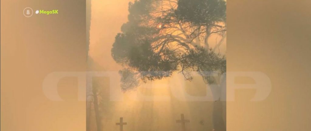 Έρχεται νέο κύμα καύσωνα – Η καταστροφή στο κτήμα Τατοΐου είναι εκτεταμένη