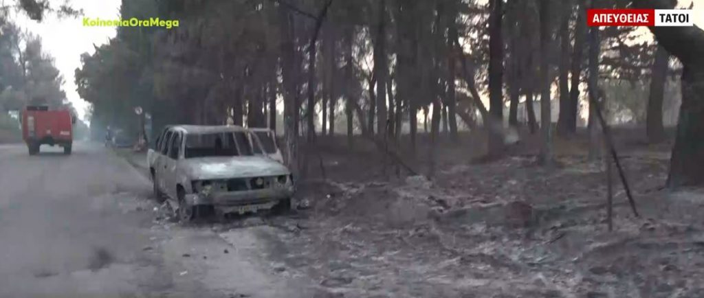 Τατόι – Εικόνες απόλυτης καταστροφής μετά την πυρκαγιά