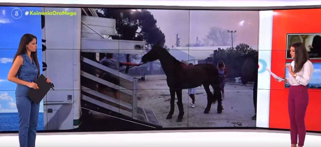 Φωτιά στη Βαρυμπόμπη – 253 άλογα μεταφέρθηκαν με ασφάλεια στο Μαρκόπουλο – Μεγάλη κινητοποίηση για τη διάσωση των ζώων