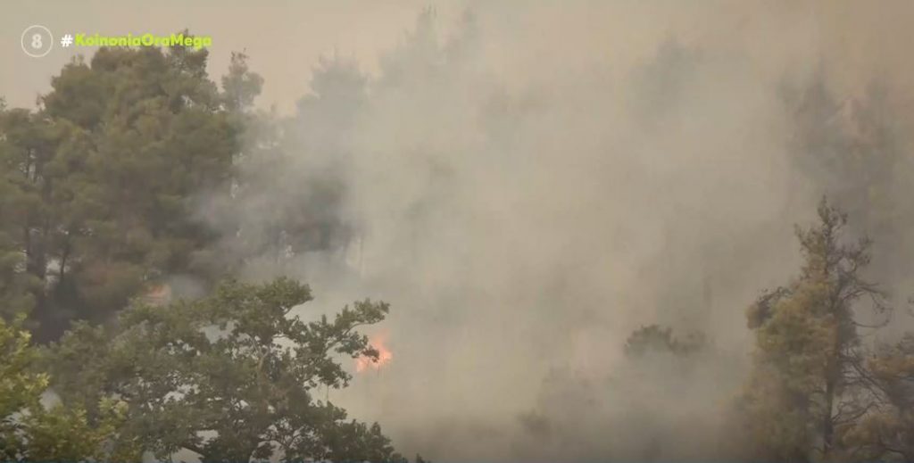 Μπλόκο της αστυνομίας για την αποφυγή λεηλασιών στη Βαρυμπόμπη – Συνεχείς αναζωπυρώσεις στην Ηλεία – Ενεργό το μέτωπο στη Βόρεια Εύβοια