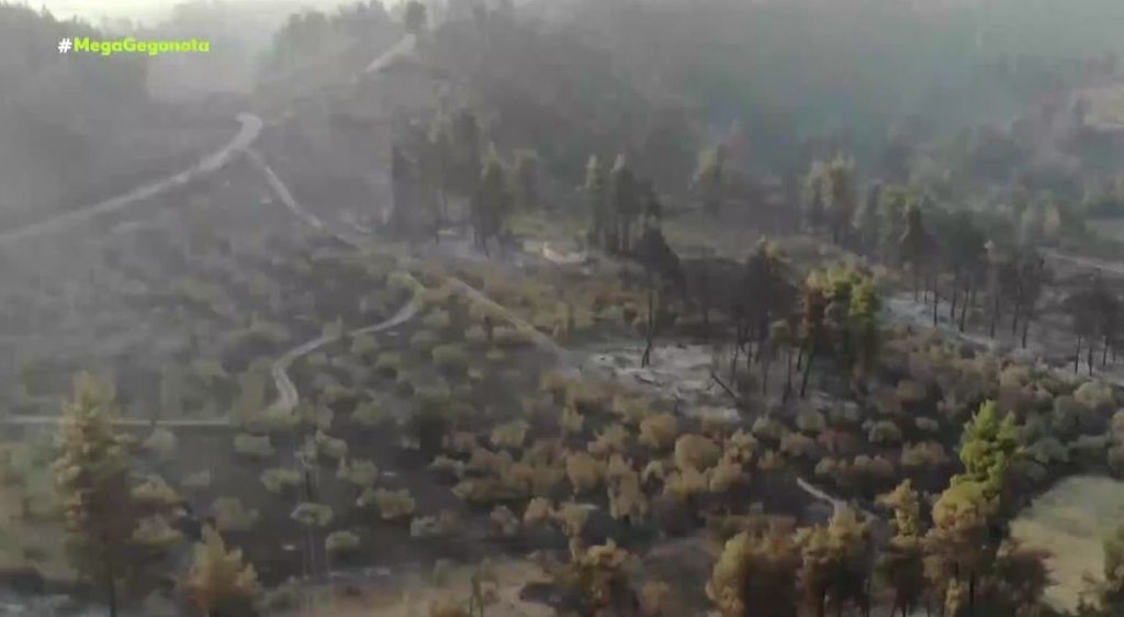 Φωτιές – Ξεκίνησαν τα αντιπλημμυρικά στα καμένα – Αγωνία για το αύριο