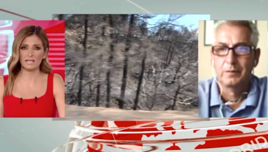 Μπόκαρης – «Το δάσος πρέπει να ξαναγεννηθεί με φυσικό ή τεχνητό τρόπο»