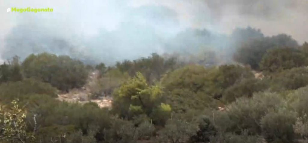 Φωτιά σε εξέλιξη στα Βίλια