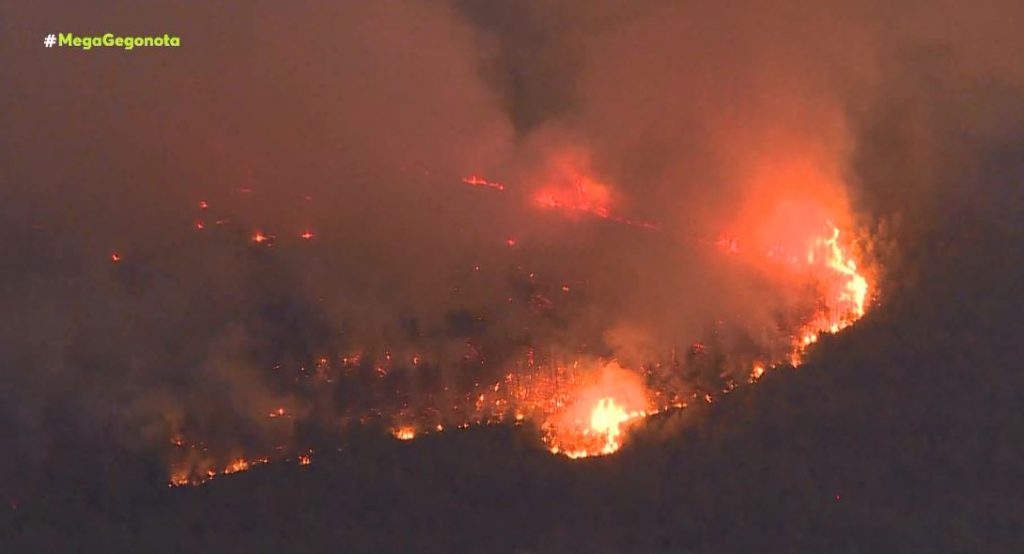 Βίλια – Σπίτια και δάσος έγιναν στάχτη