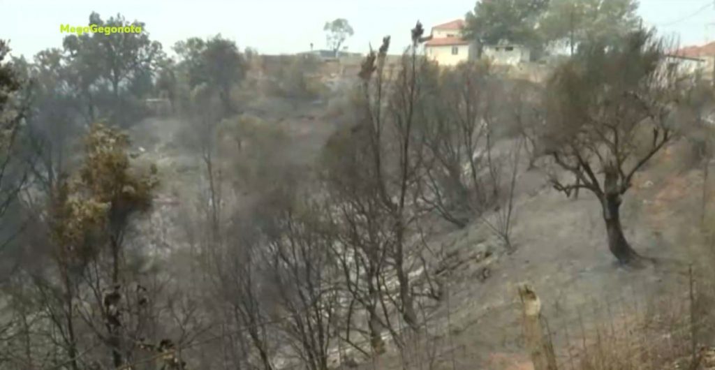 Αρκαδία – Σε διαθεσιμότητα ο ταξίαρχος που ζήτησε πολιτικό μέσο για να στείλει πυροσβεστικό στην Γορτυνία