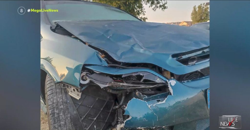 Τράκαρε με… αγελάδα – Σοκαριστικό τροχαίο για 30χρονη στην Εγνατία Οδό