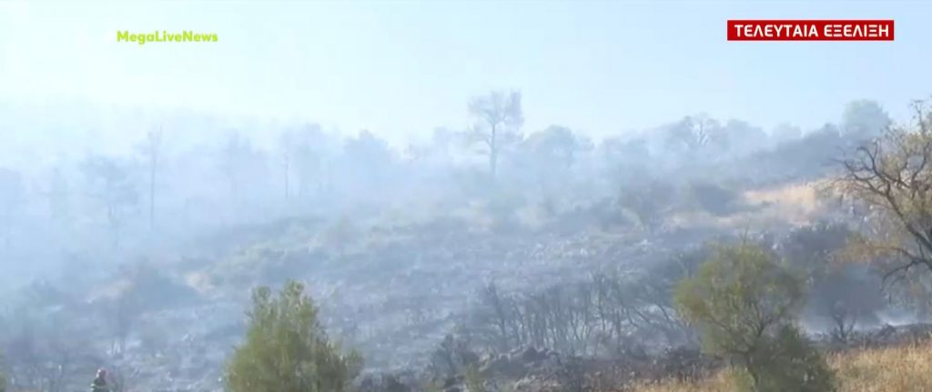 Φωτιά στα Βίλια – Εκκενώθηκαν οικισμοί, ισχυρή δύναμη της Πυροσβεστικής στο σημείο