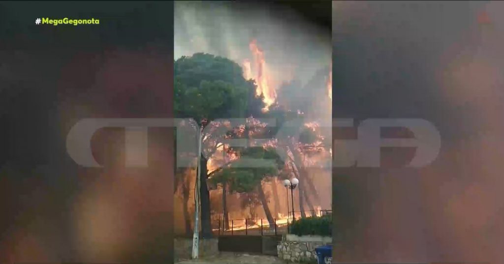 Βίντεο ντοκουμέντο από τη φωτιά στο Κρυονέρι