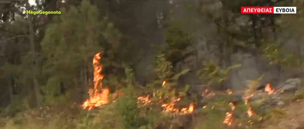 Μεσσηνία – Η φωτιά πλησιάζει προς το χωριό Καρνάσι