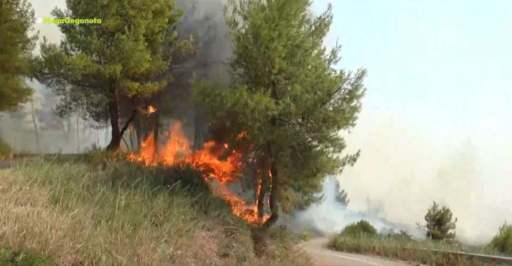 Σε πύρινο κλοιό η χώρα – Μάχη με τις φλόγες σε Βαρυμπόμπη, Αρχαία Ολυμπία & Εύβοια