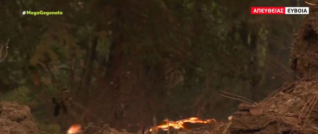 Αρχαία Ολυμπία – Τραυματίες από την κατάσβεση της φωτιάς