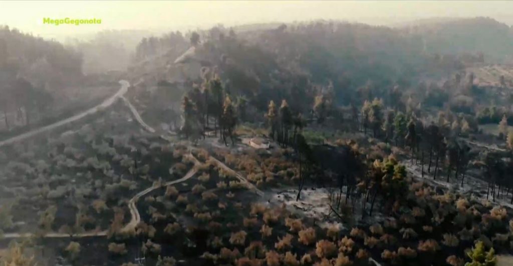 Εύβοια – Ολική καταστροφή σε περιουσίες & χλωρίδα – Οργισμένοι οι κάτοικοι