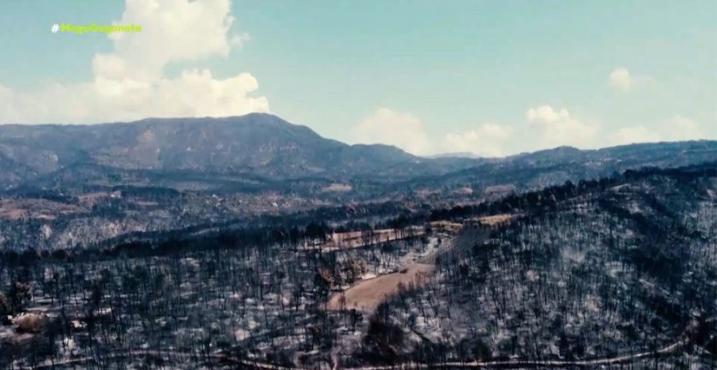 Κρανίου τόπος η βόρεια Εύβοια – Τεράστια καταστροφή της τοπικής οικονομίας