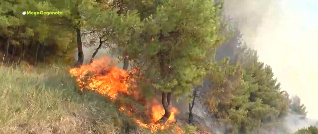 Ανεξέλεγκτη η φωτιά στην Ηλεία – Εκκενώνονται οικισμοί