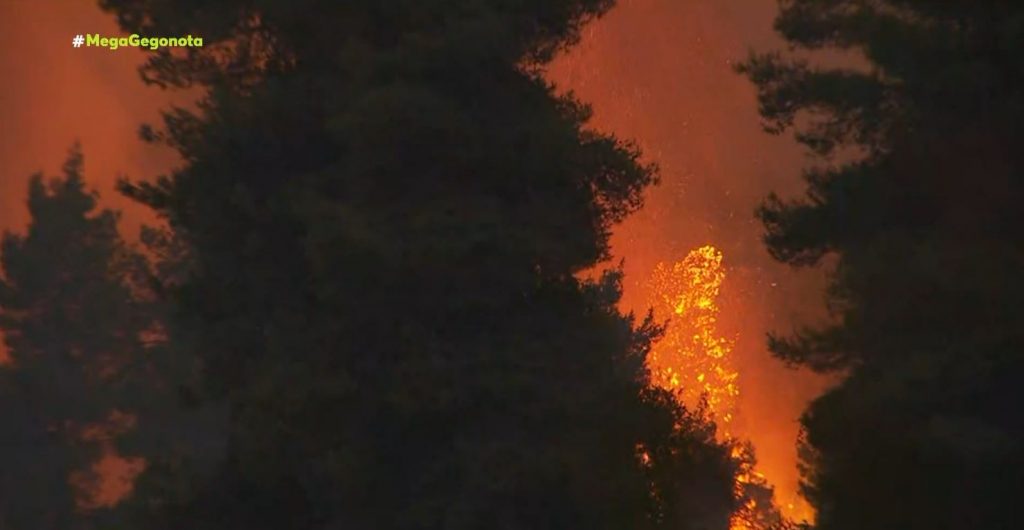 Ήπιοι άνεμοι – Υψηλός ο κίνδυνος πυρκαγιάς