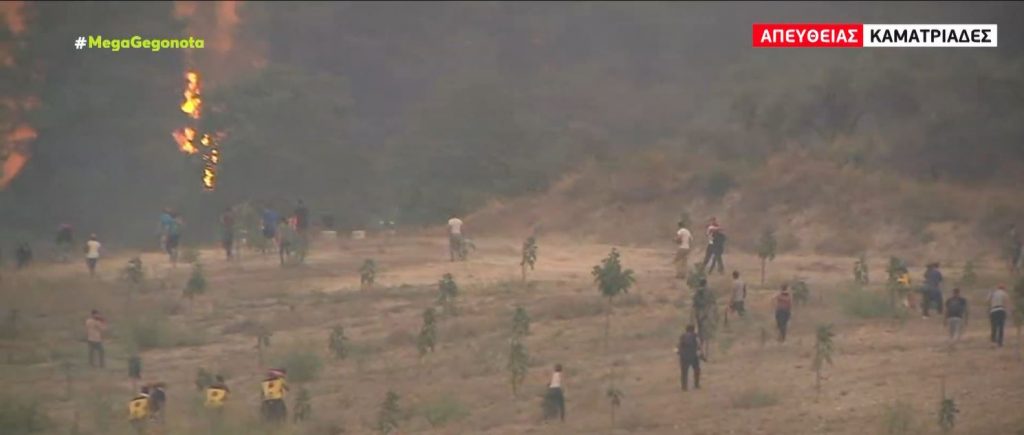 Εύβοια – Νέα αναζωπύρωση στην περιοχή Καματριάδες