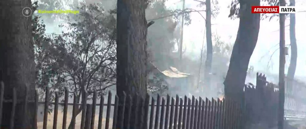 Αχαΐα – Στάχτη & αποκαΐδια άφησε πίσω της η μεγάλη πυρκαγιά