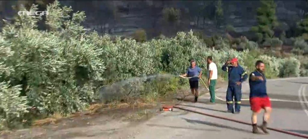 Εύβοια – Νέο πύρινο μέτωπο στις Ροβιές