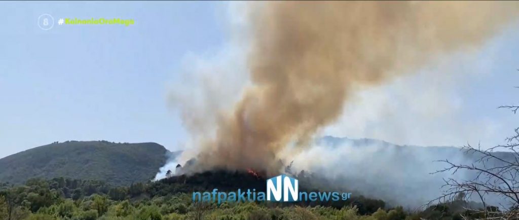 Ρόδος – Ολονύκτια μάχη με τις φλόγες – Ισχυροί άνεμοι δυσκολεύουν την κατάσβεση