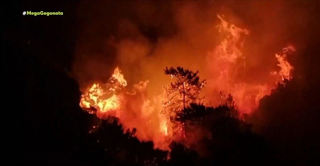 Τουρκία – Αυξάνονται οι νεκροί λόγω των πυρκαγιών – Ανεπάρκεια του κρατικού μηχανισμού