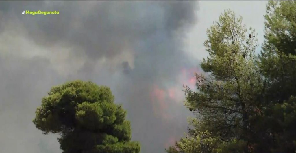 Φωτιά στην Αχαΐα – Ολονύχτια μάχη με τις φλόγες έδωσαν οι πυροσβέστες – Υπό έλεγχο η φωτιά