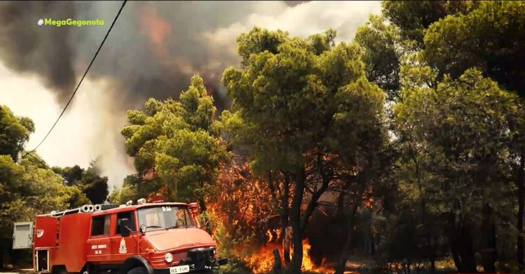 Εύβοια – Στάχτη & αποκαΐδια άφησε πίσω της η πυρκαγιά – Κραυγή αγωνίας των κατοίκων