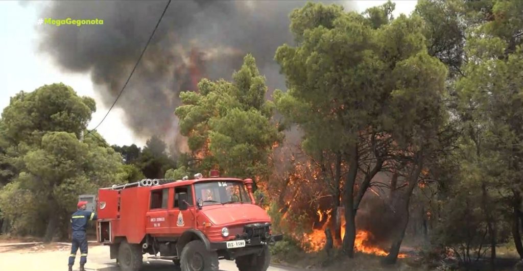 Φωτιές – Οι απαντήσεις Χαρδαλιά για τα αίτια της βιβλικής καταστροφής
