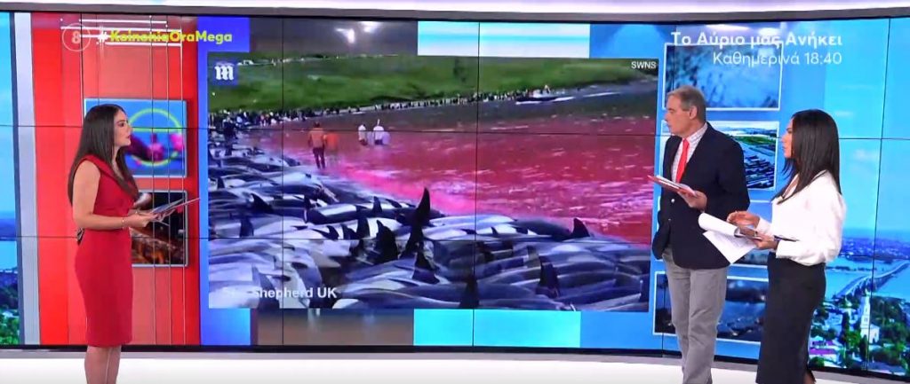 Διεθνείς ειδήσεις – Παγκόσμιο σοκ από τη σφαγή 1428 δελφινιών στα νησιά Φερόε & ο «πόλεμος» του Μπόρις Τζόνσον με τη Νίκι Μινάζ