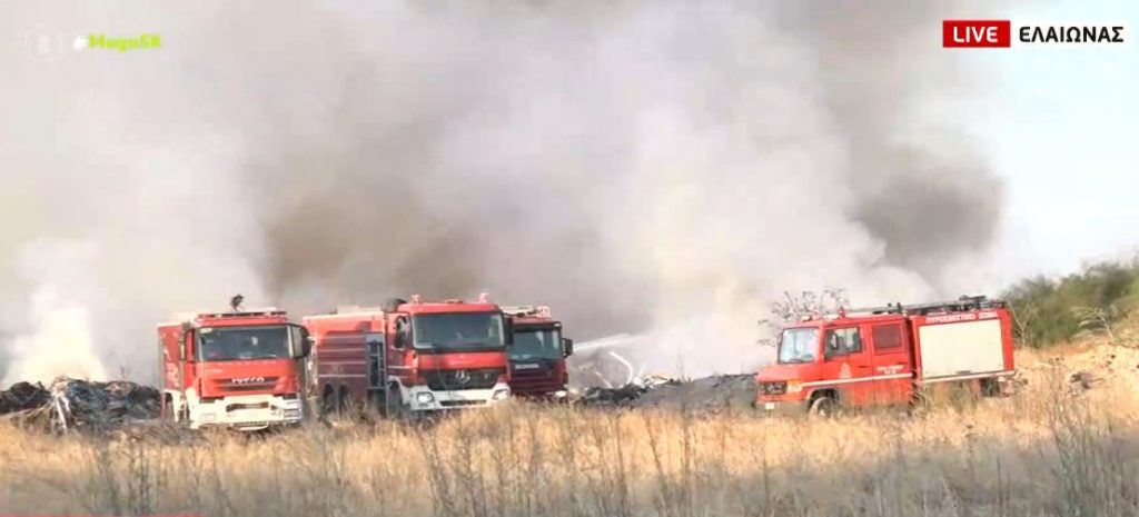 Σε εξέλιξη μεγάλη φωτιά στον Ελαιώνα
