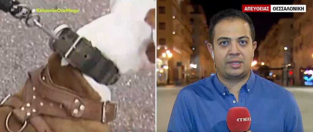 Θεσσαλονίκη – Επίθεση από σκύλο δέχθηκε 83χρονος – Συνελήφθη ο ιδιοκτήτης