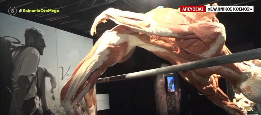 Body Worlds – Άνοιξε τις πόρτες της η συναρπαστική έκθεση με τα ανθρώπινα σώματα