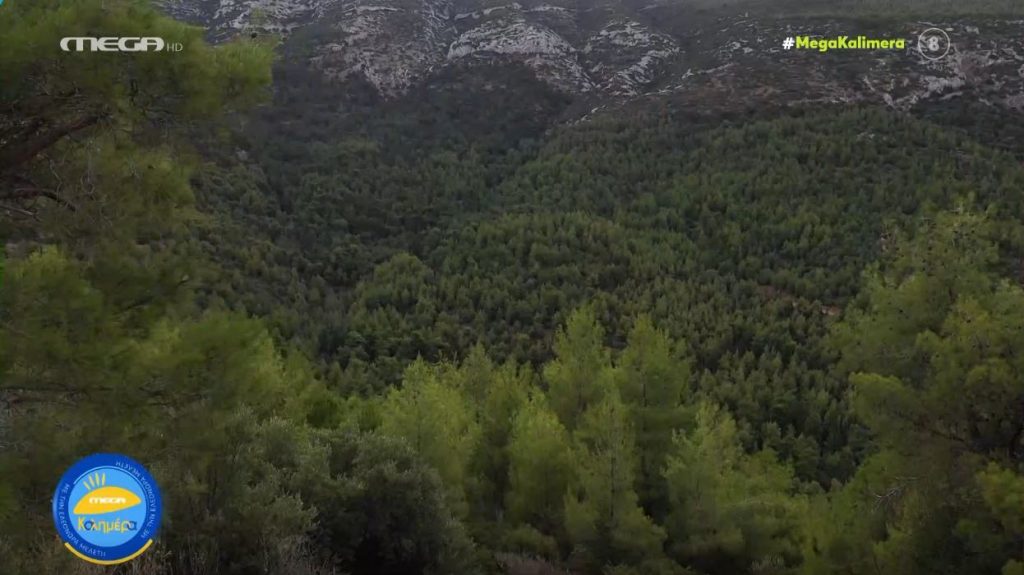 Υμηττός – Το πρωτοποριακό σύστημα πυρανίχνευσης που τον γλύτωσε από τις πυρκαγιές το καλοκαίρι