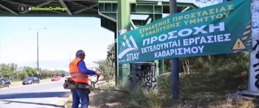 Σήμερα το forum με θέμα «Ο Δεκάλογος Σωτηρίας των Δασών μας»