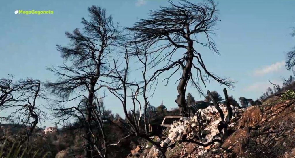 Χριστούγεννα στα καμένα για τους κατοίκους της Εύβοιας