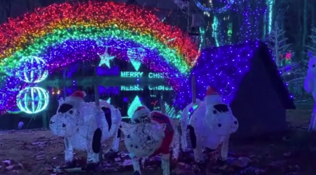 Χριστούγεννα για… ρεκόρ Γκίνες