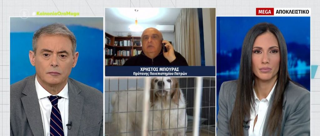 Τρόμος στο πανεπιστήμιο Πατρών από τις επιθέσεις αδέσποτων σε φοιτητές