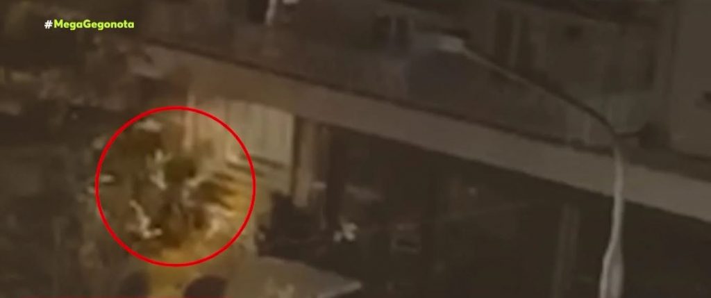 Δολοφονία Άλκη: Γνωστός στις Αρχές ο 23χρονος φερόμενος δολοφόνος