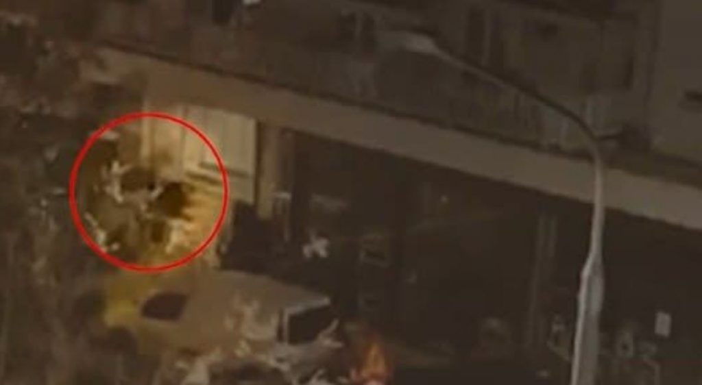 Δολοφονία Άλκη: Δώδεκα οι επιβαίνοντες στα τρία αυτοκίνητα