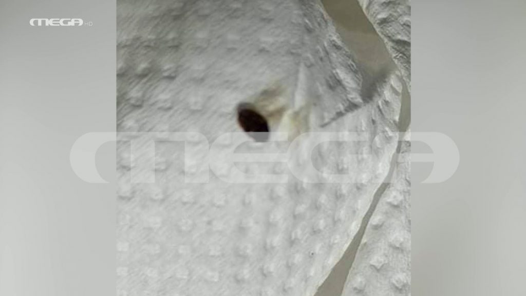 Κέρκυρα: Καταγγελίες οδηγών για απάνθρωπες συνθήκες στις καμπίνες του Euroferry Olympia