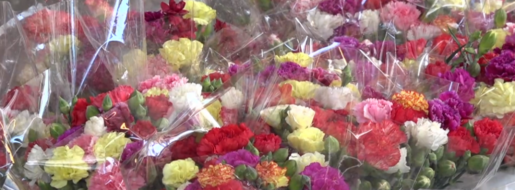 Επίσκεψη στην κεντρική ανθαγορά Αθηνών και τους παραγωγούς της