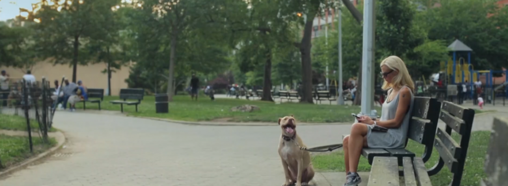 «Bad Vegan: Δόξα, απάτη, φυγή»: Μία συναρπαστική ιστορία κακοποιητικής αγάπης και εξαπάτησης