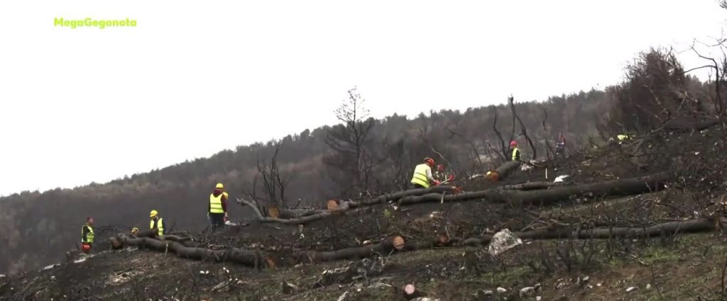 Coca Cola: Παρέδωσε έργο αποκατάστασης των πυρόπληκτων περιοχών της Βαρυμπόμπης και του Τατοΐου