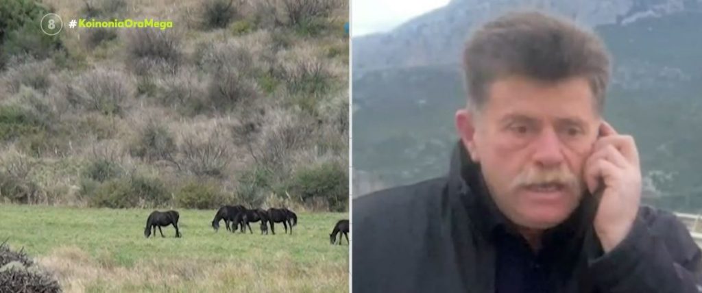 Ναυπακτία: Άλογα ποδοπάτησαν 17χρονο & 19χρονη που επέβαιναν σε δίκυκλο