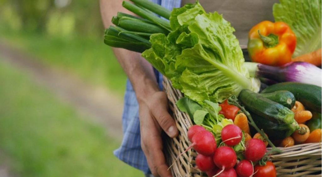 Ακρίβεια: Σε χαλαρούς ρυθμούς η κίνηση στις λαϊκές αγορές – Σε τι τιμές κυμαίνονται τα λαχανικά